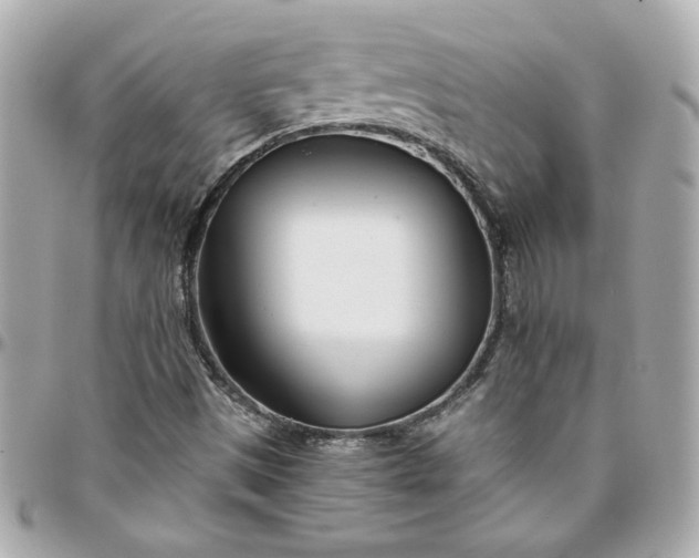 X0000096201497200802011248