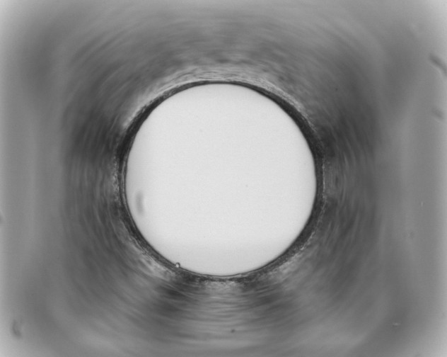 X0000096201498200802011248