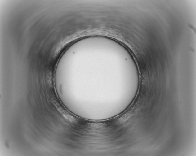 X0000096201499200802011248