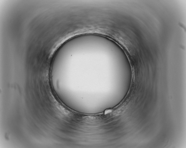 X0000096201500200802011248