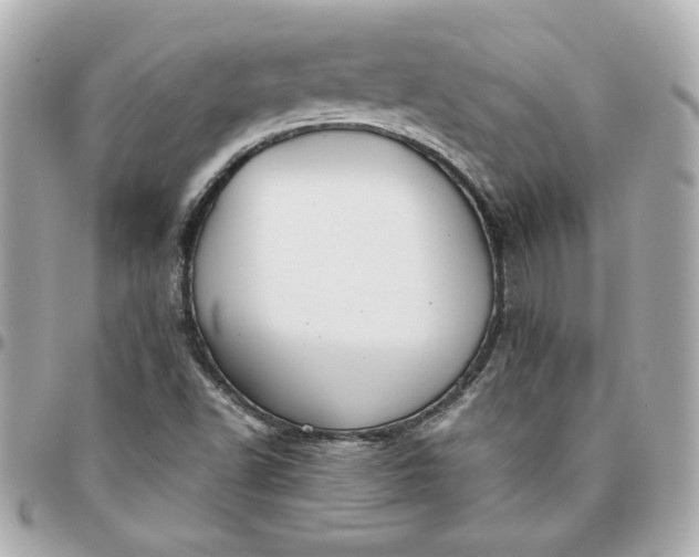 X0000096201502200802011248