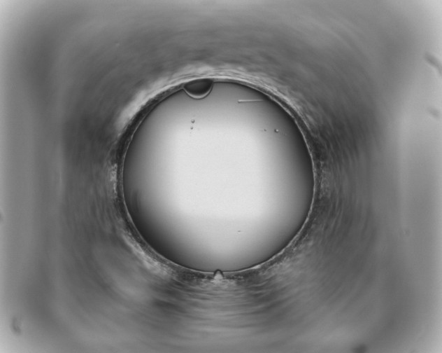 X0000096201503200802011248