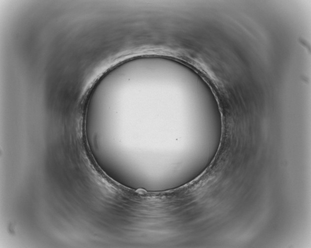 X0000096201504200802011248