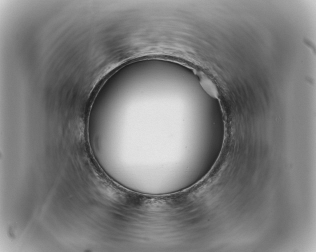 X0000096201505200802011248