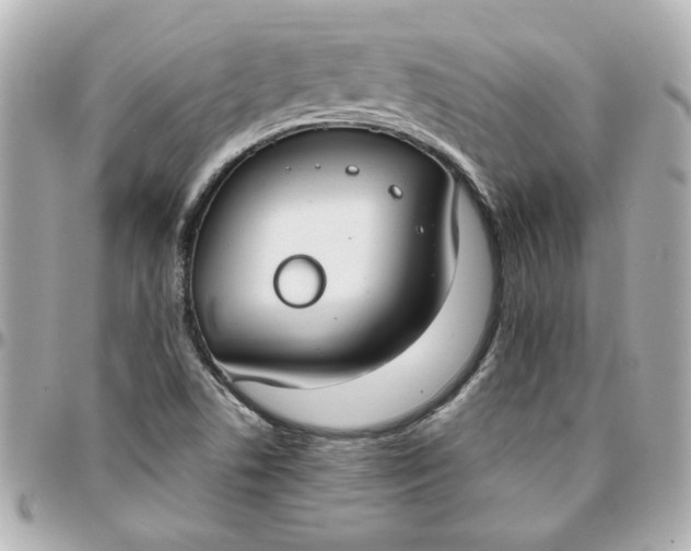 X0000096201506200802011248