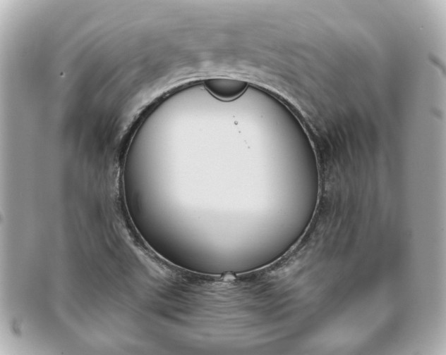 X0000096201507200802011248