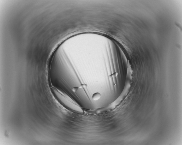 X0000096201508200802011248