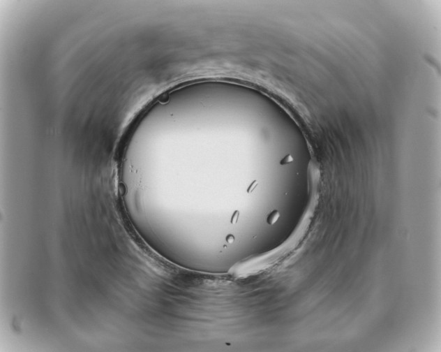 X0000096201509200802011248