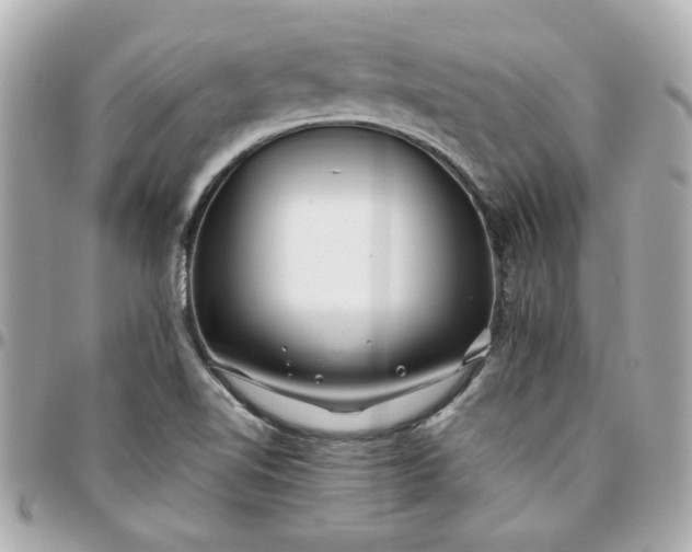 X0000096201510200802011248