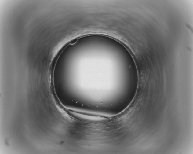 X0000096201511200802011248