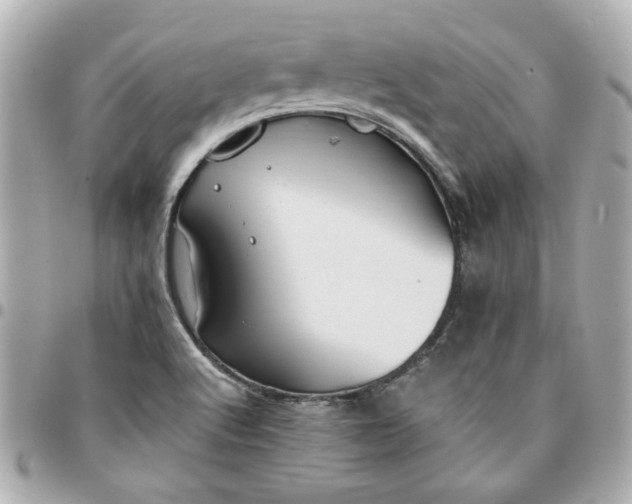 X0000096201512200802011248