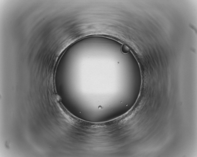 X0000096201513200802011248