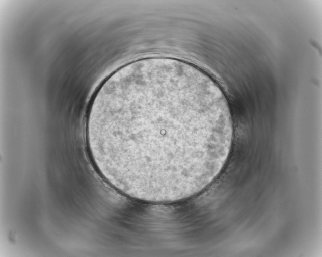 X0000096201514200802011248