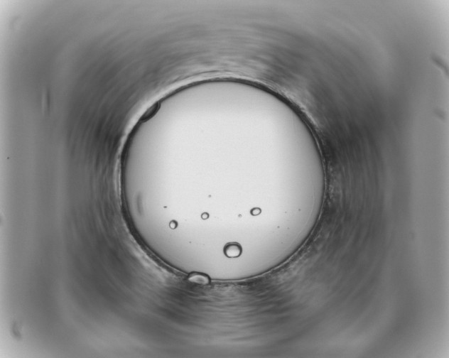 X0000096201516200802011248