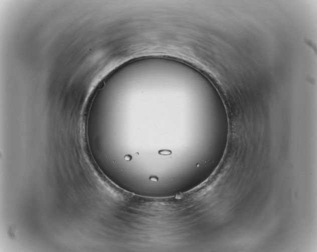 X0000096201517200802011248