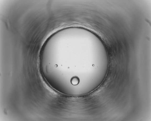 X0000096201518200802011248