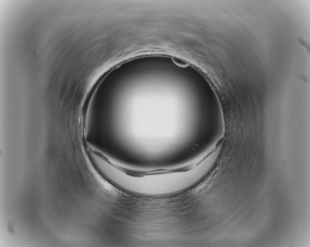 X0000096201519200802011248