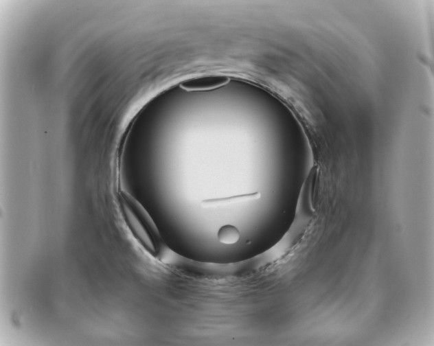 X0000096201520200802011248