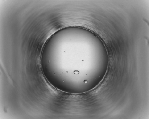 X0000096201521200802011248