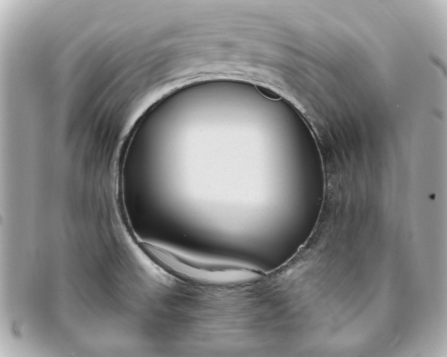 X0000096201523200802011248