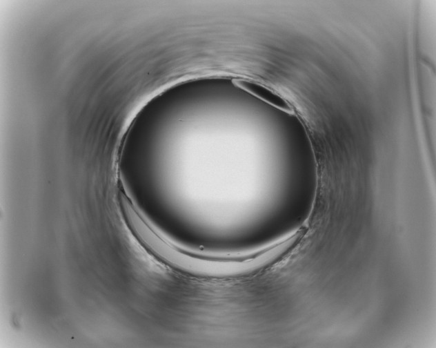 X0000096201524200802011248