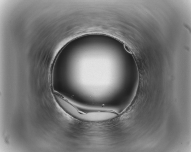 X0000096201527200802011248