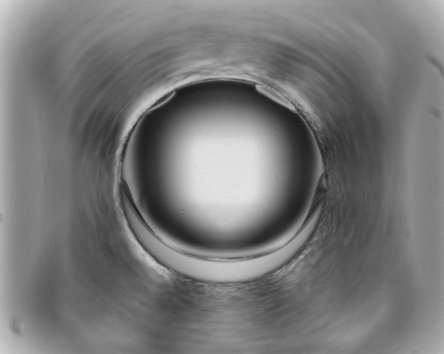 X0000096201528200802011248