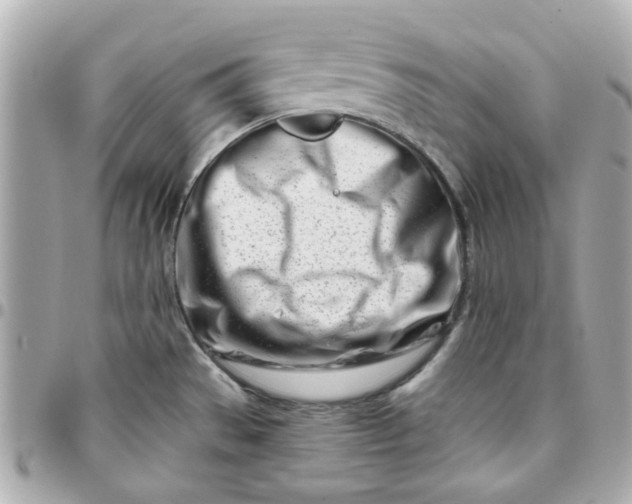 X0000096201529200802011248