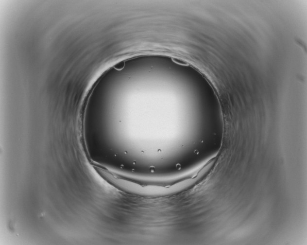 X0000096201531200802011248