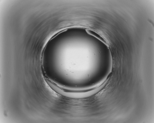 X0000096201532200802011248