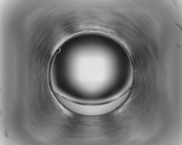 X0000096201533200802011248