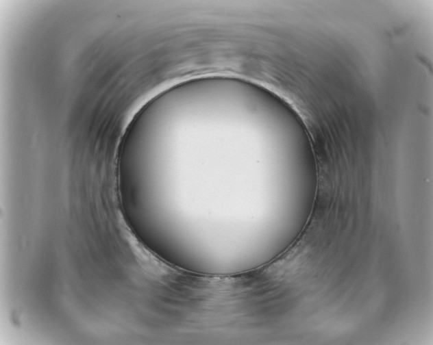 X0000096201534200802011248