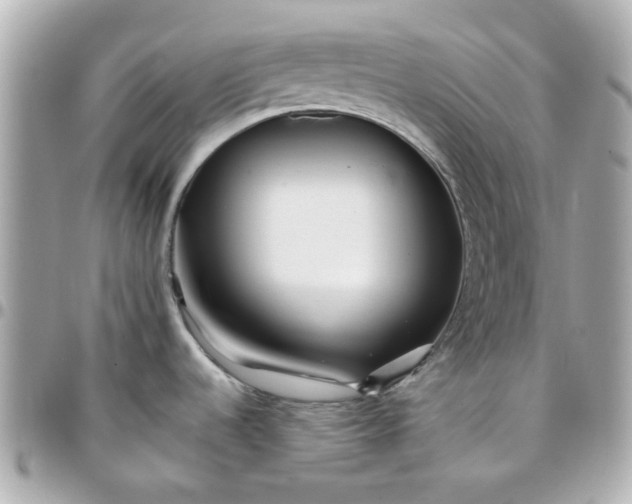 X0000096201536200802011248