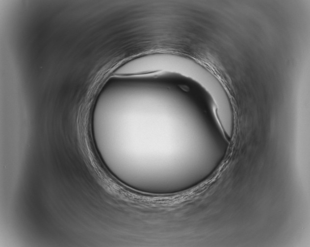 X0000096200001200802081549