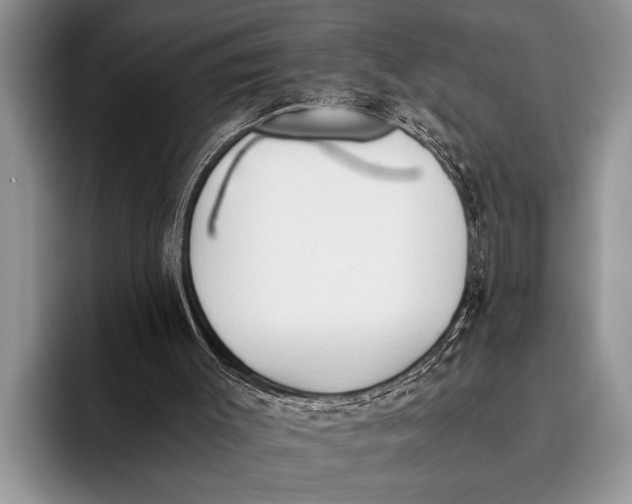 X0000096200003200802081549