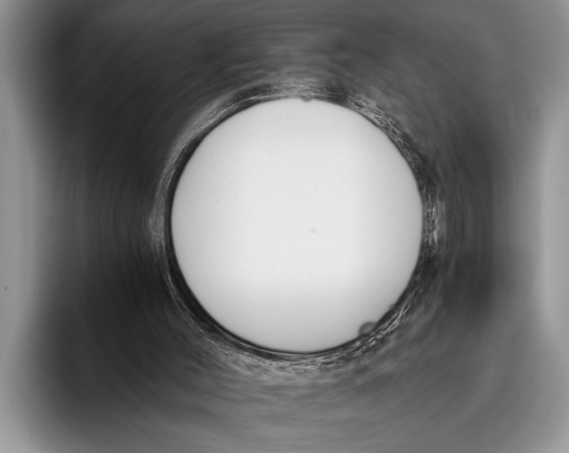 X0000096200004200802081549