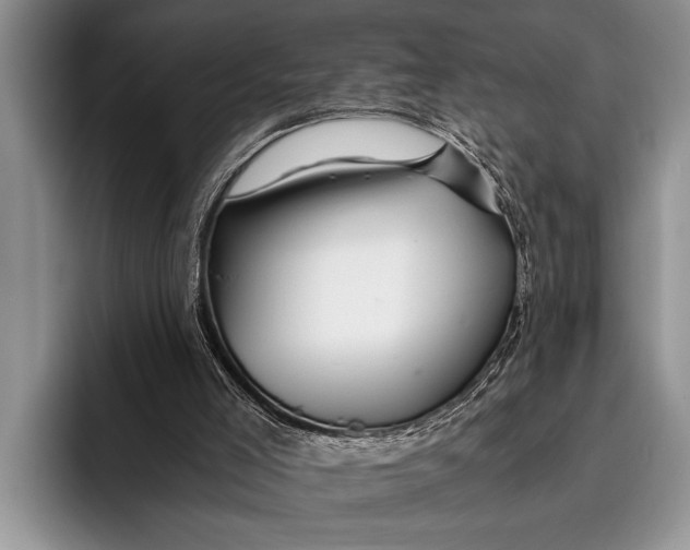 X0000096200005200802081549