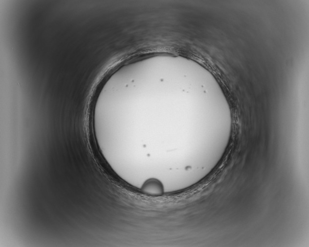 X0000096200006200802081549