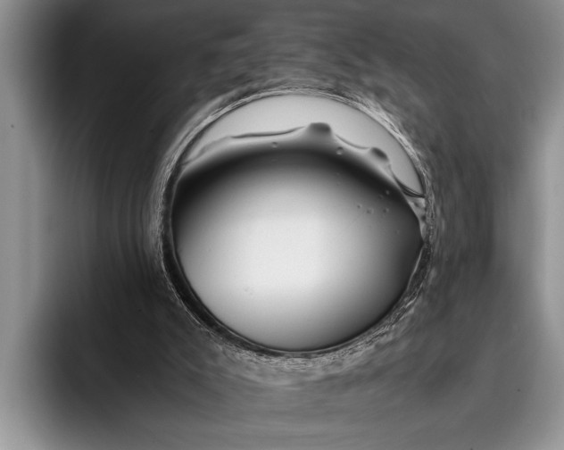 X0000096200007200802081549