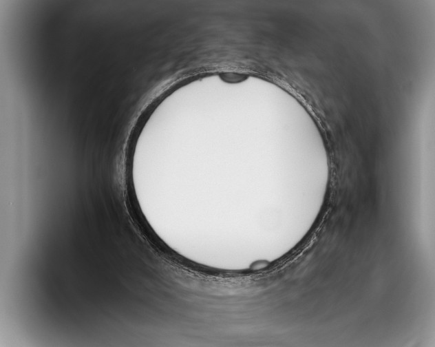 X0000096200008200802081549