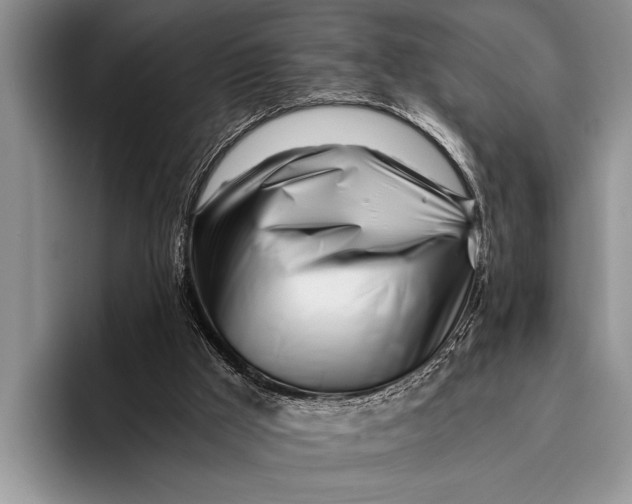 X0000096200009200802081549