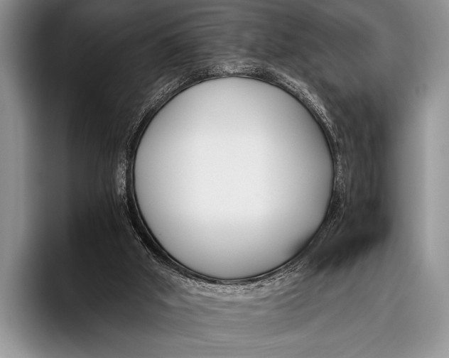 X0000096200010200802081549