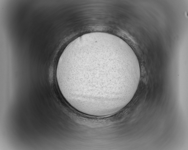 X0000096200012200802081549