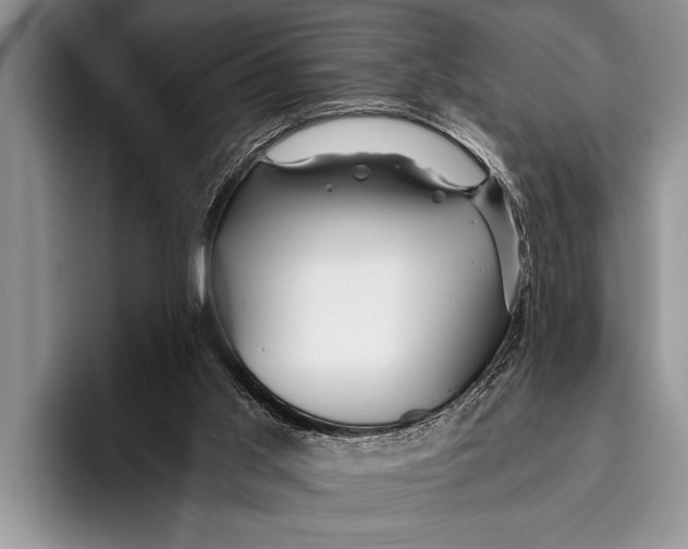 X0000096200013200802081549