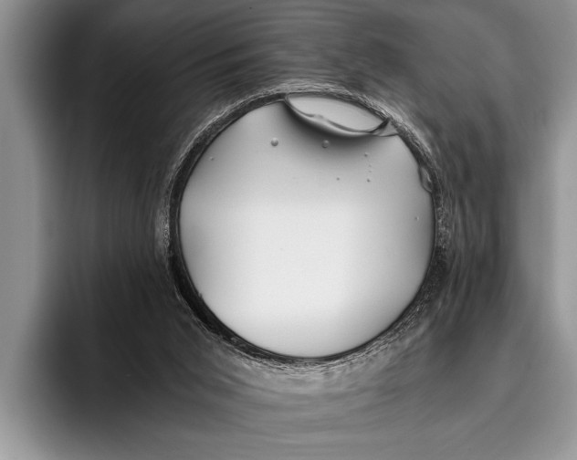 X0000096200015200802081549