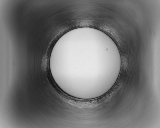 X0000096200016200802081549