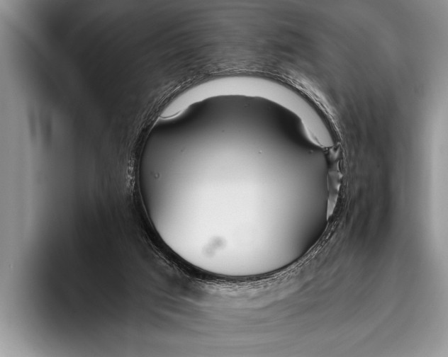 X0000096200017200802081549