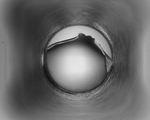 X0000096200019200802081549