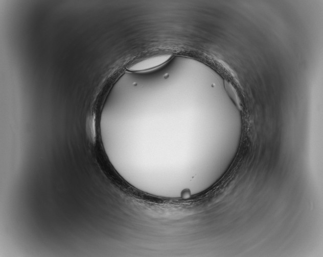 X0000096200020200802081549