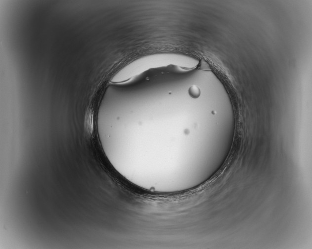 X0000096200021200802081549